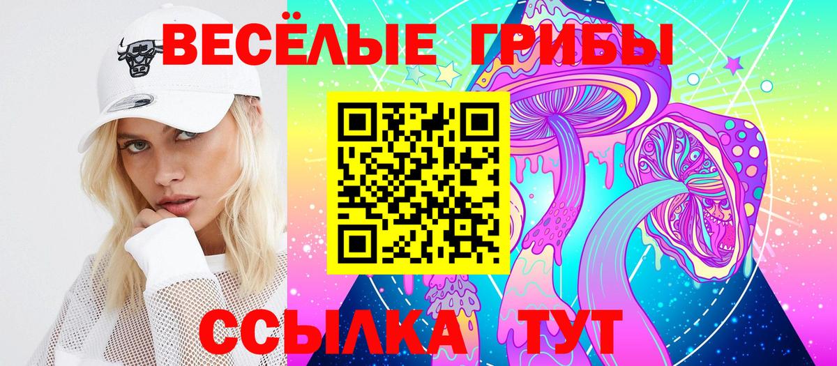 Галлюциногенные грибы MAGIC MUSHROOMS  Вход с VPN  Новодвинск 